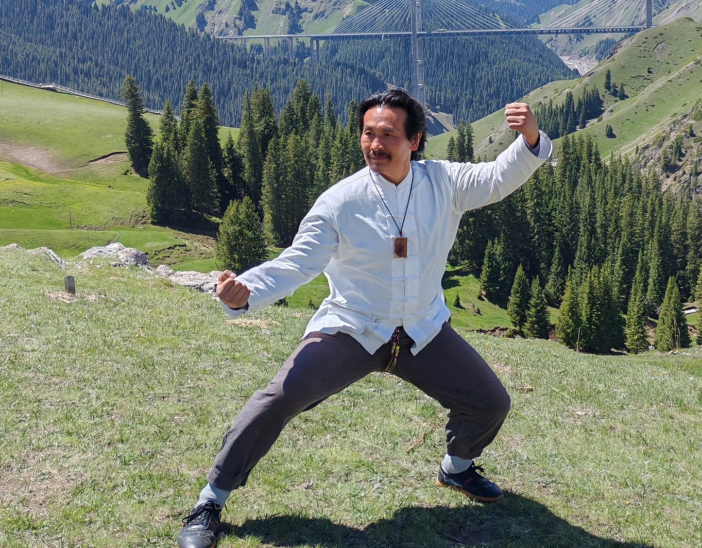 New Course:Limited Special Offer - 24 Form of Yang Style Tai Chi {4 hours of instructions}